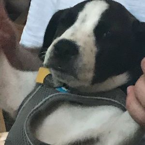 Meet your Posher, Matt